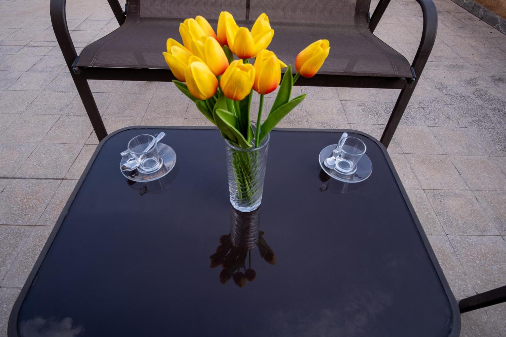 Appartement Elegantis La Dolce Vista With Private Terrace And Fantastic View *