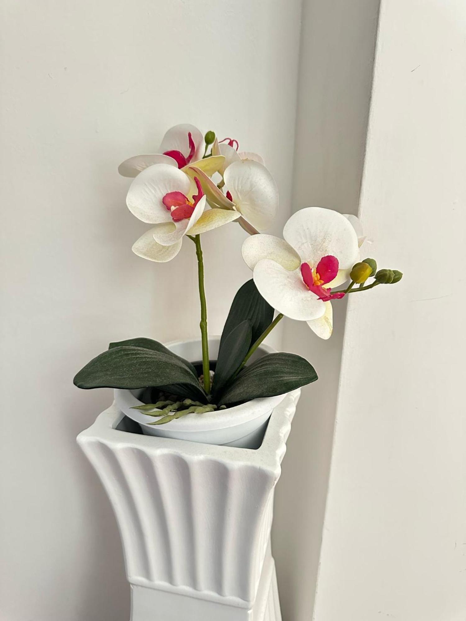 Appartement Trastevere Rome's Heart Charming & Cozy 3 *