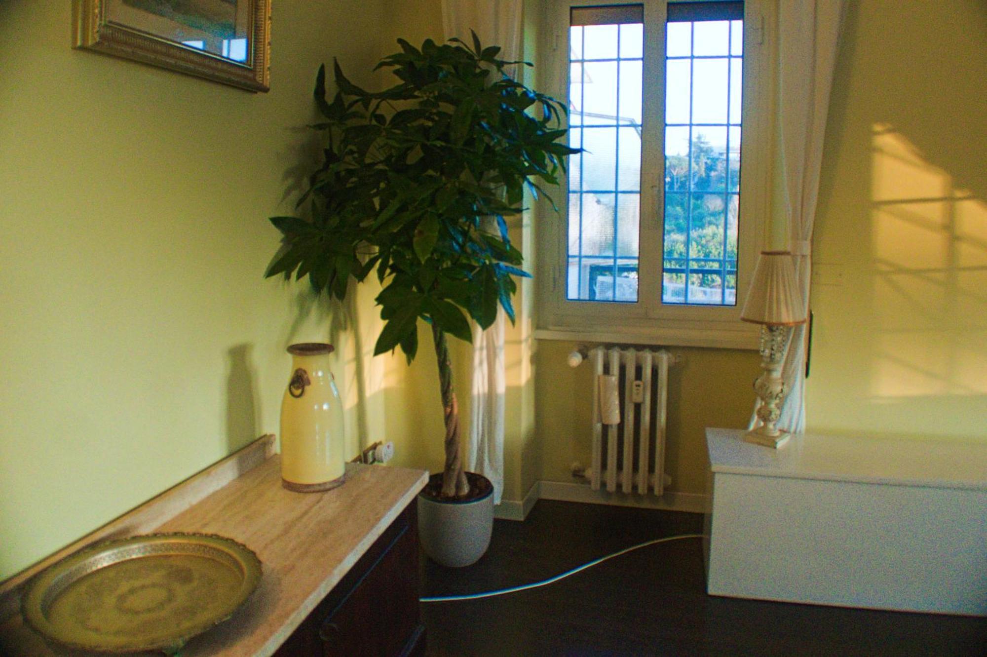 Apartment Tiziana's Terrace - Pet Friendly Rome