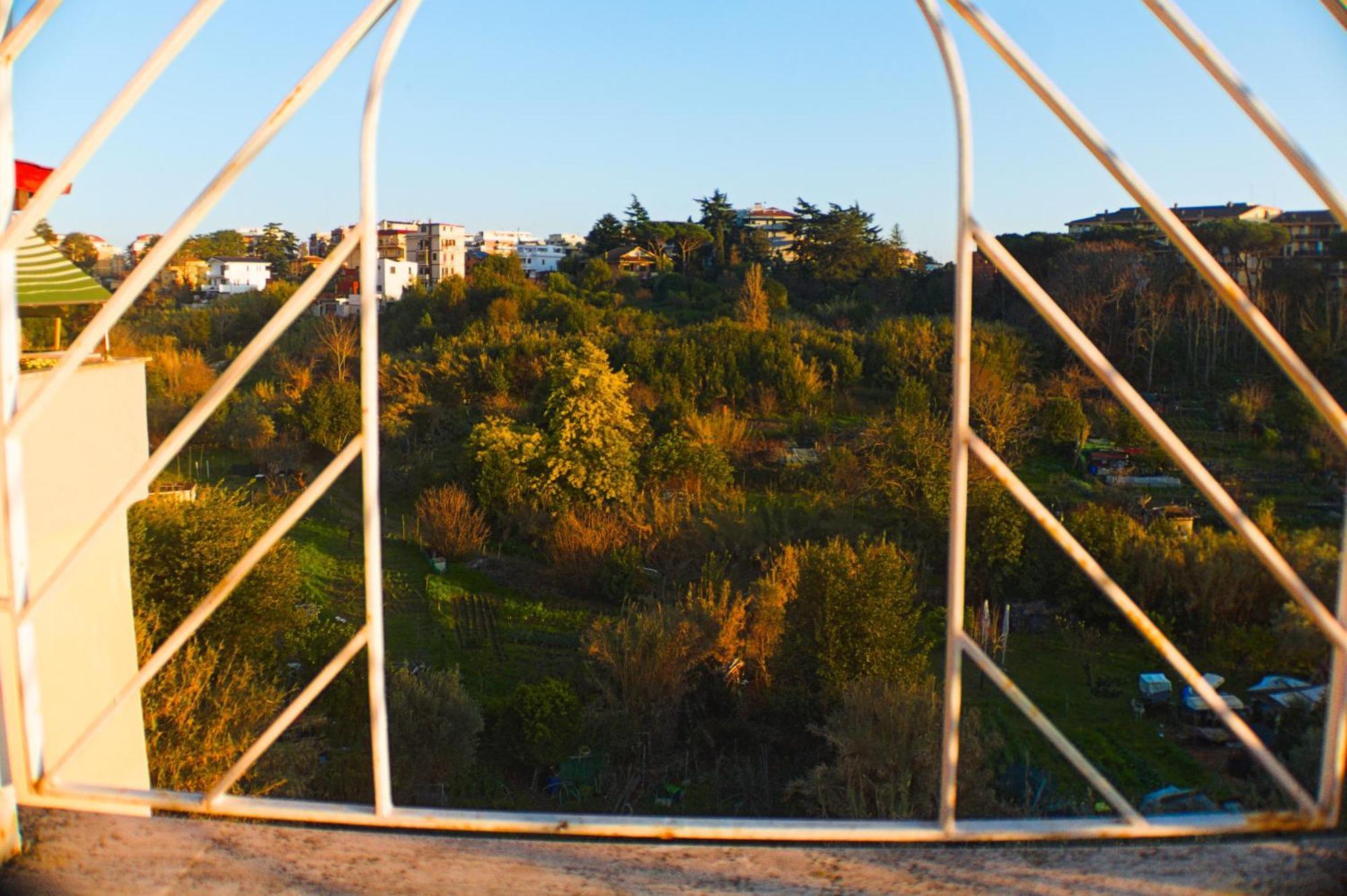 Tiziana's Terrace - Pet Friendly Apartment