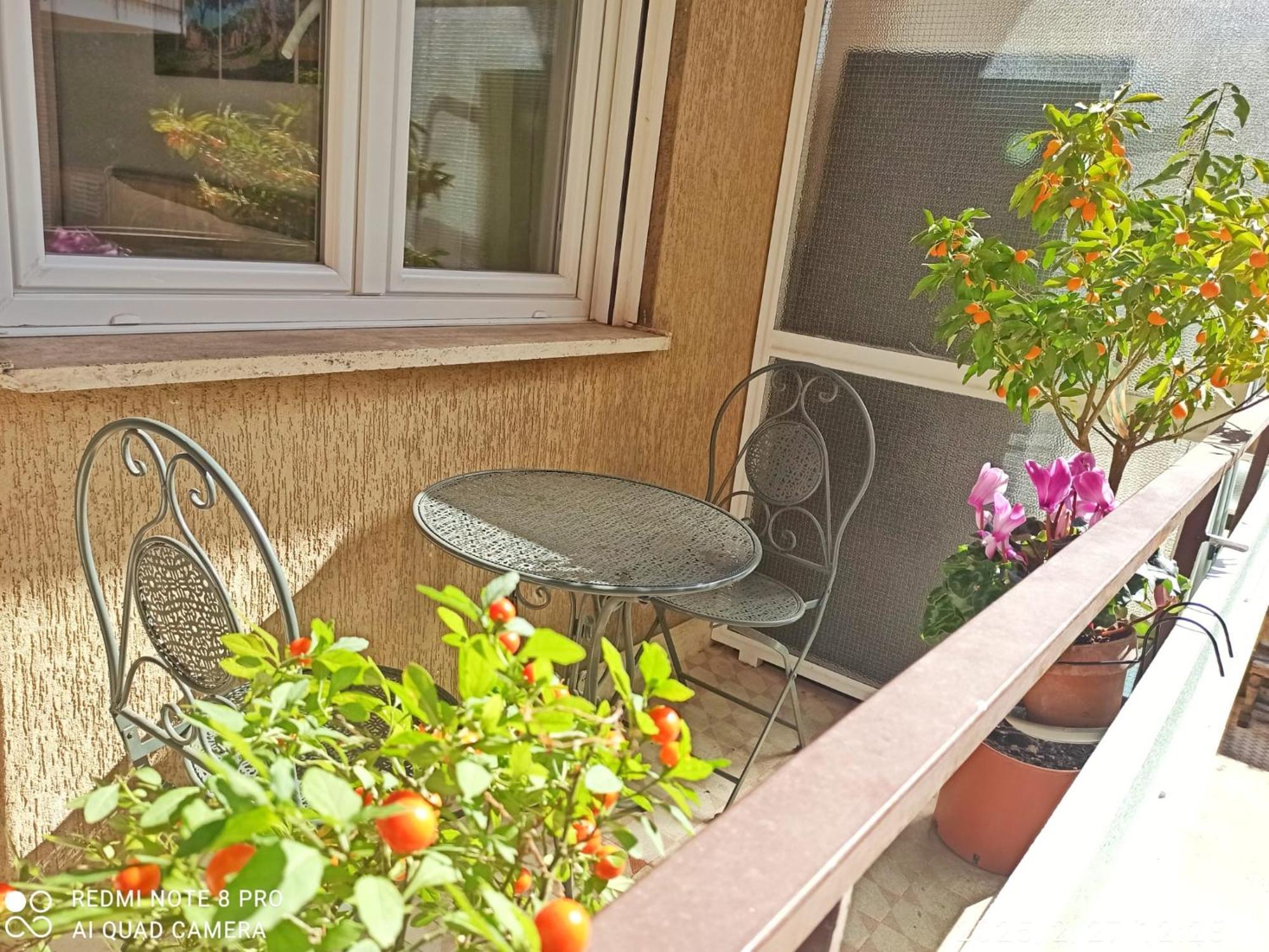 Have A In Apartment Rome