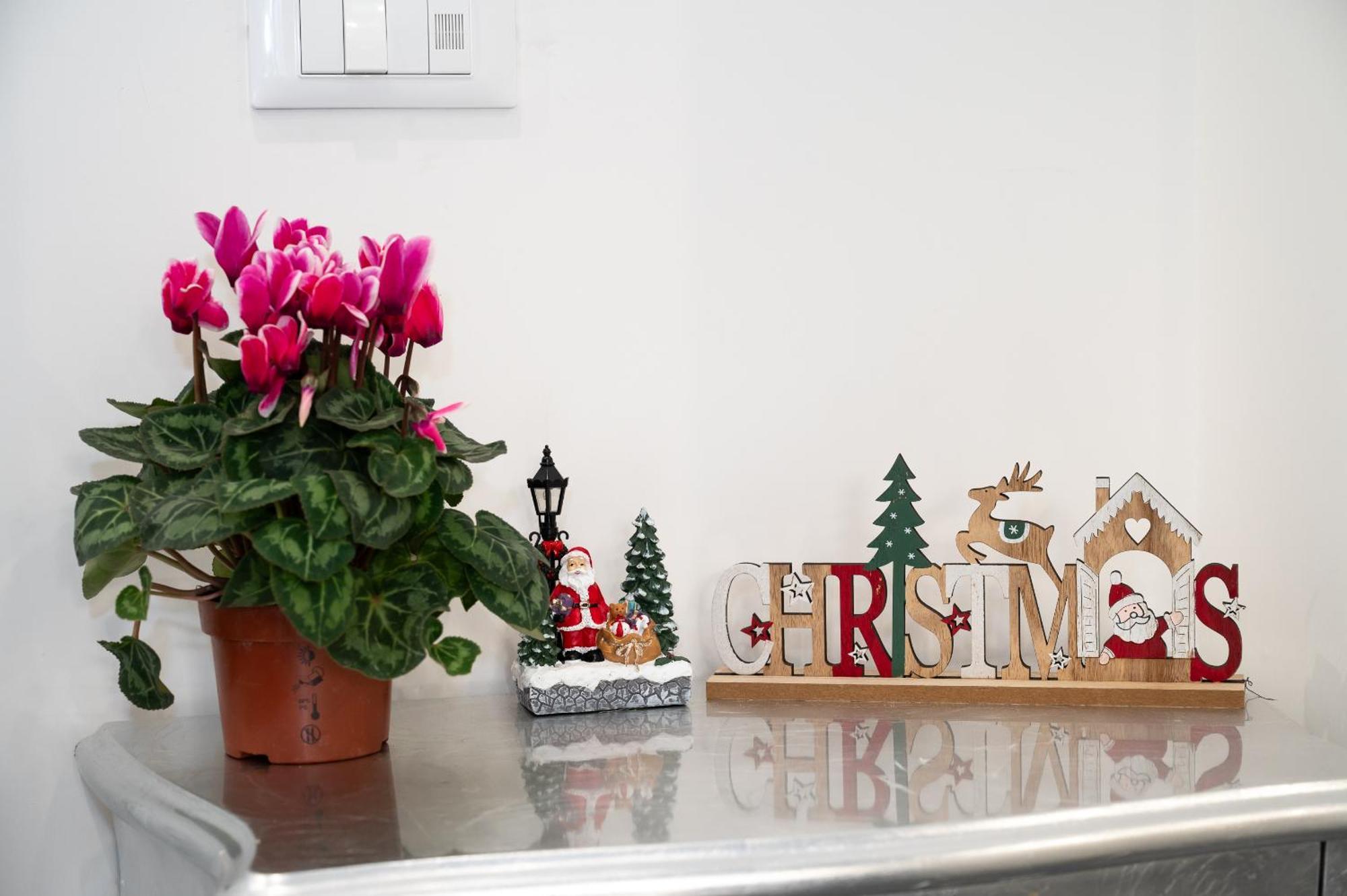 Appartement St. Peter Boutique Rome