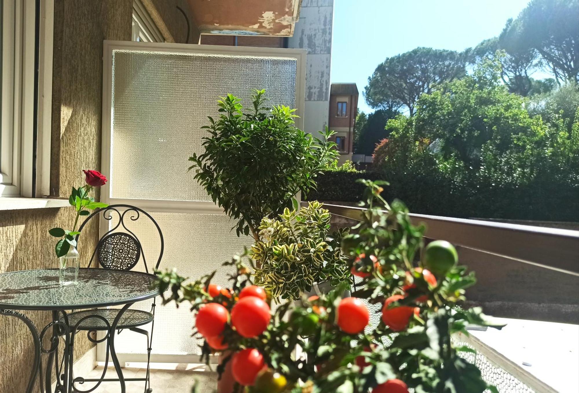 Have A In Rome