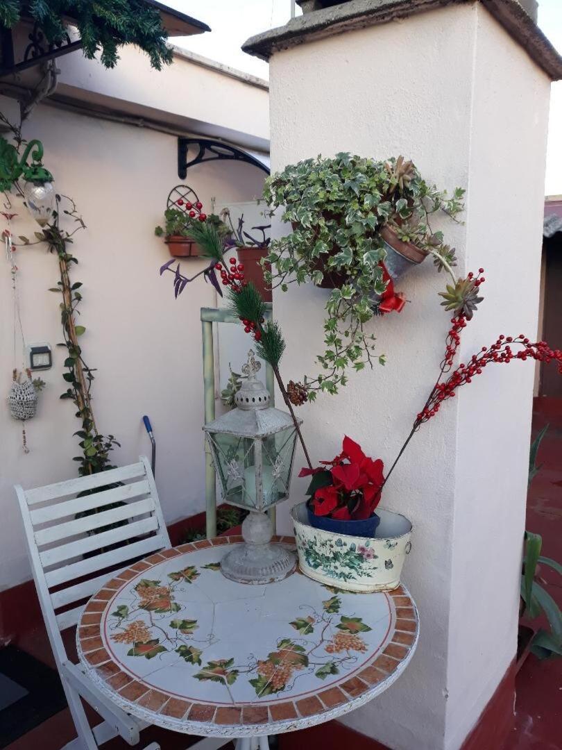 La Casina On The Roof - Rome