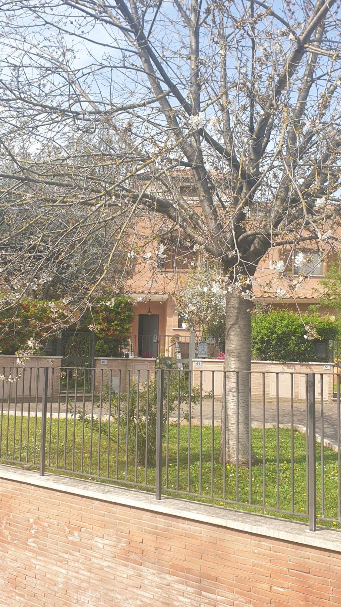 Domus Rome