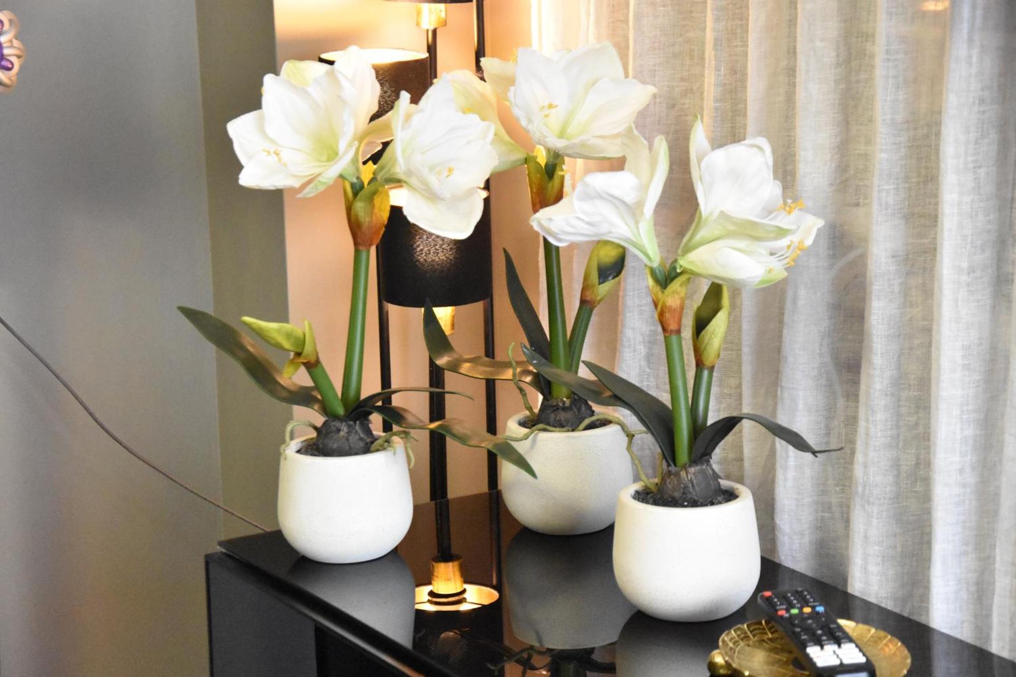 Diasof Appartement Rome