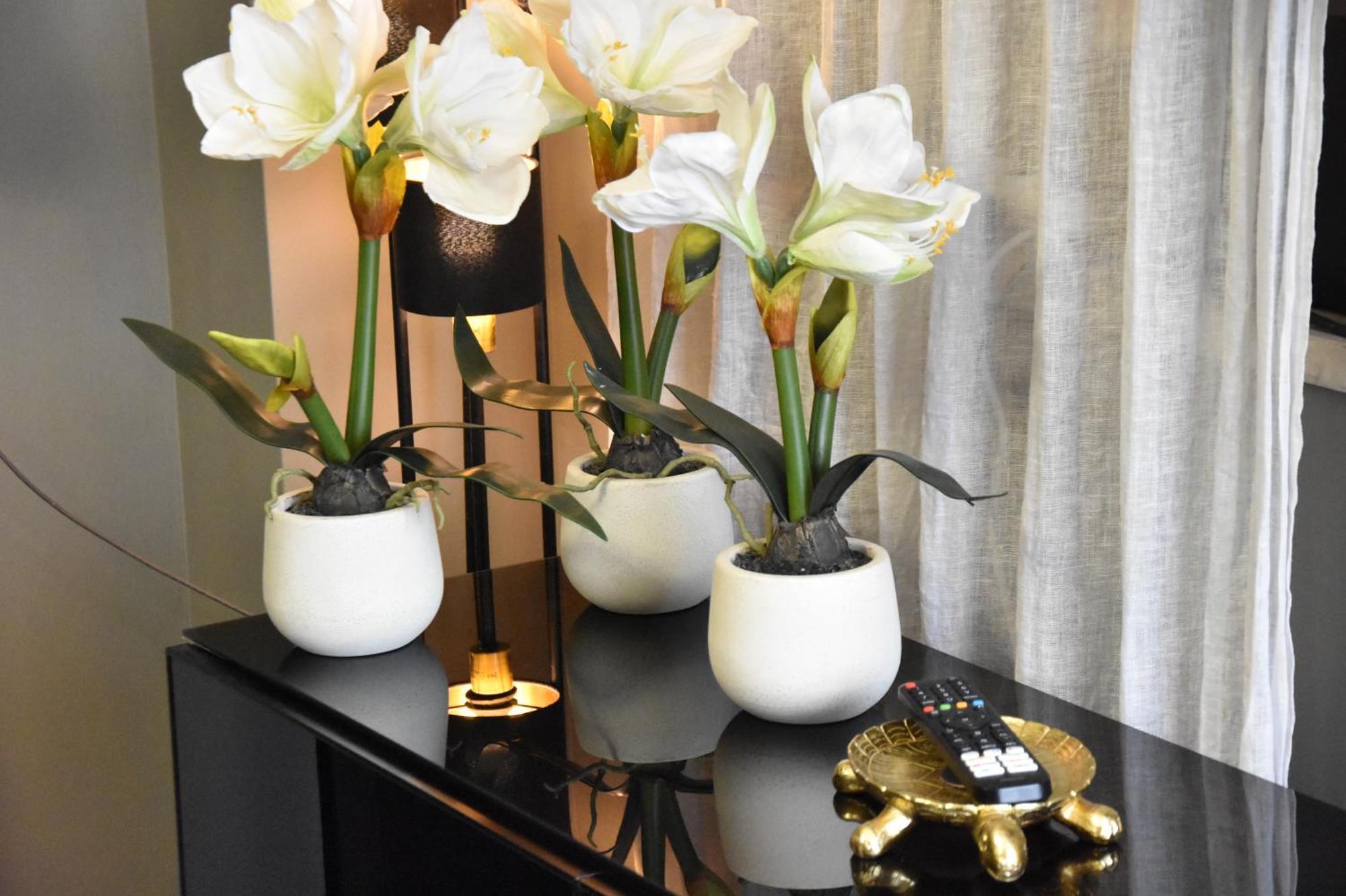 Appartement Diasof Rome