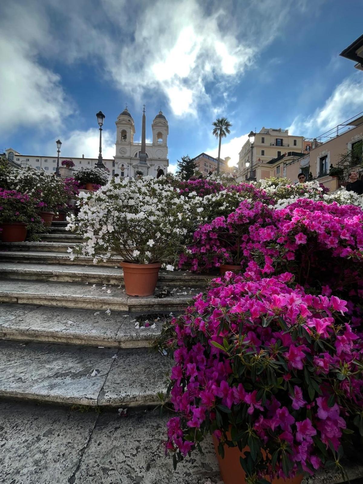 Appartement Carpe Diem Sistina
