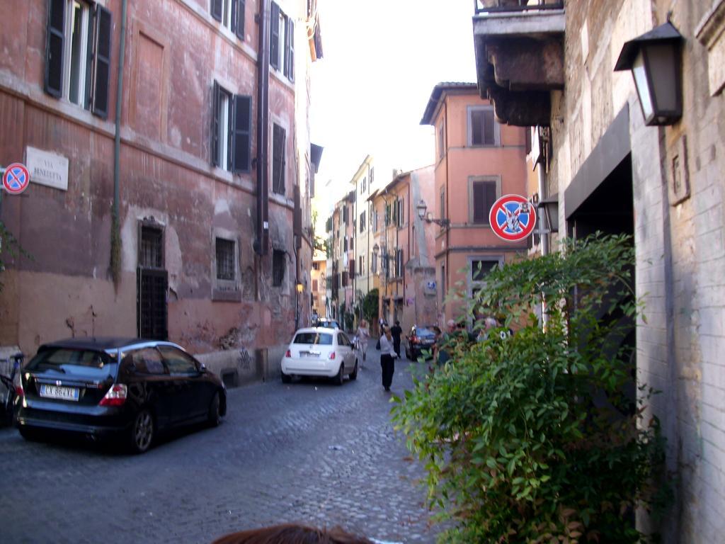 Apartment Malva *