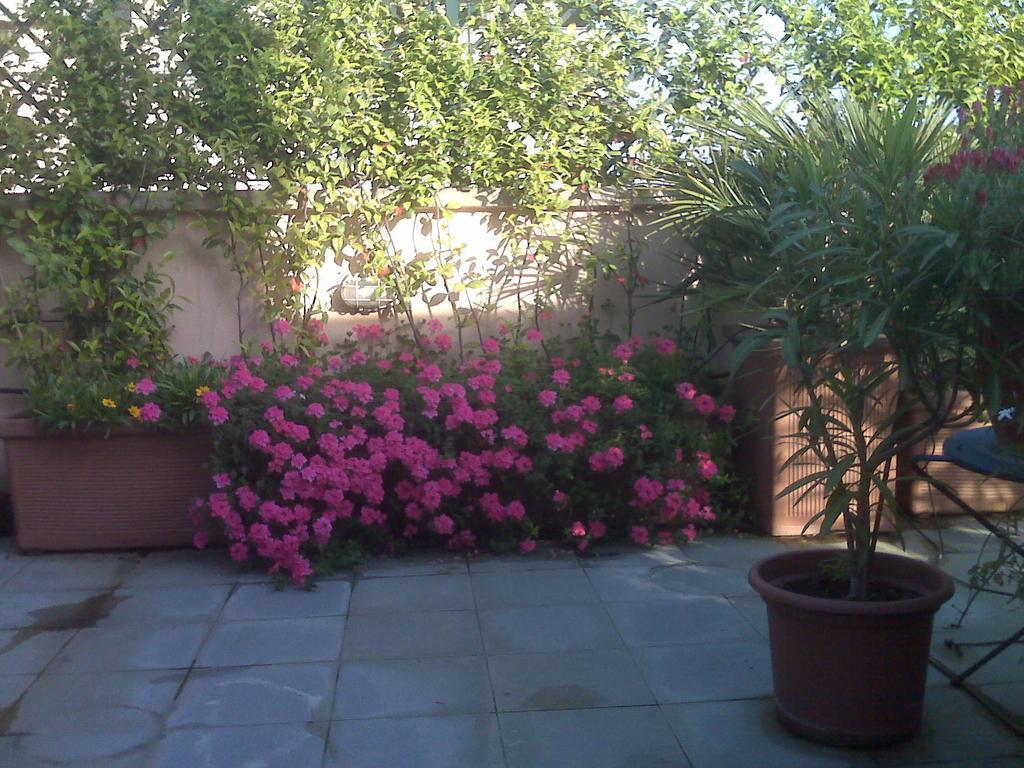 Apartment Bixio Terrace Rome