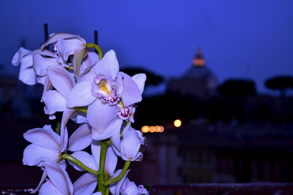 Appartamento Notti Al Vaticano-deluxe St.peter Roma