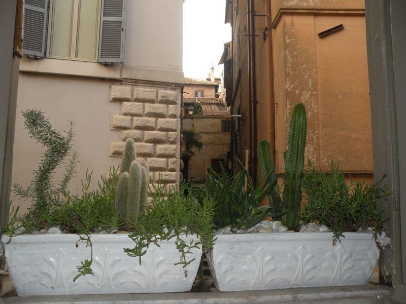 Navona Lovely Penthouse Appartamento Roma