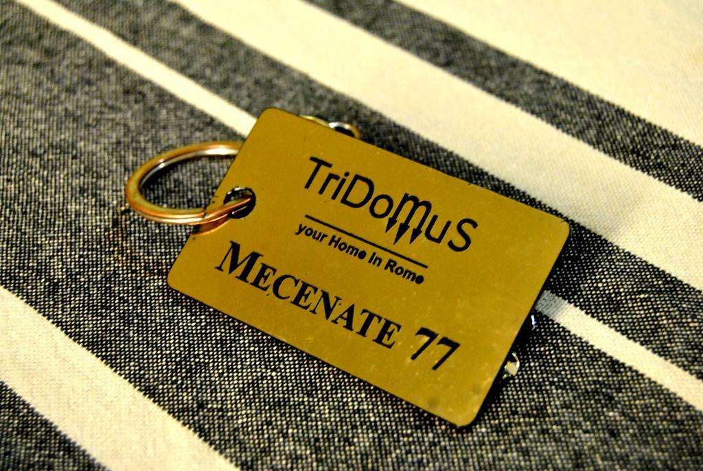 Tridomus - Mecenate 77 Roma