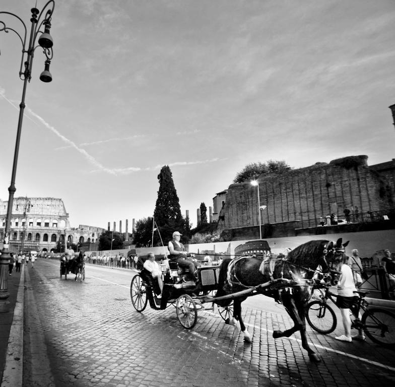 Couette-café Next Stop *