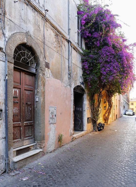Apartment Trastevere Split Level Terrace - Collection
