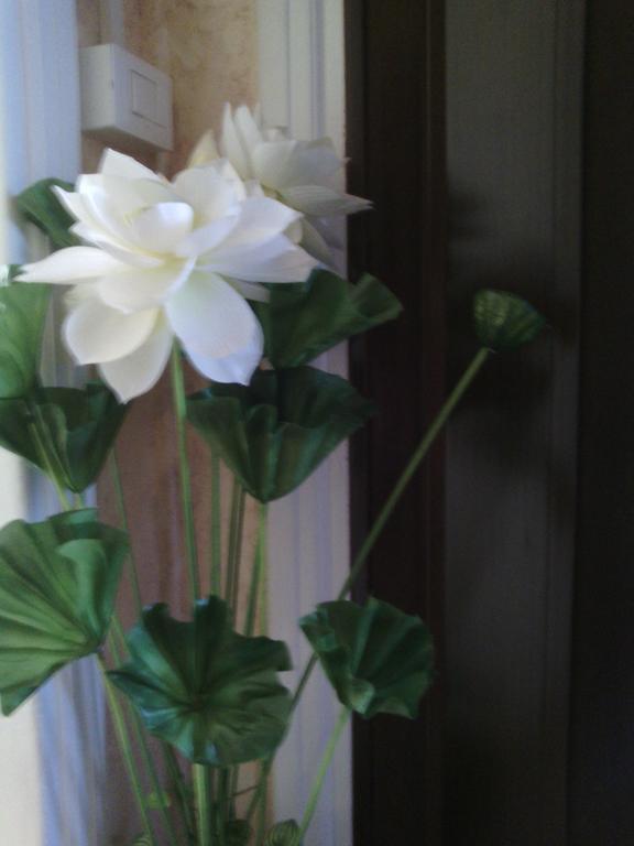 Guest house Ostiense Rome
