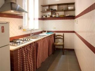 Malva Rome