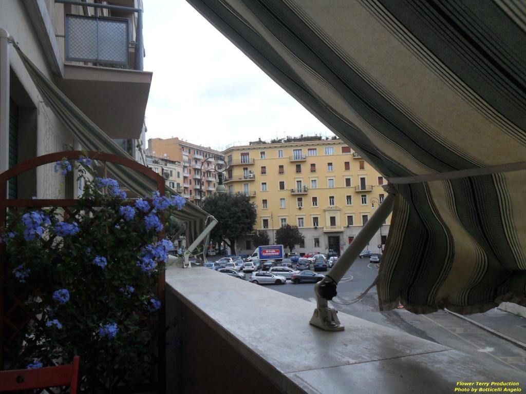 Guest house Amica 2*