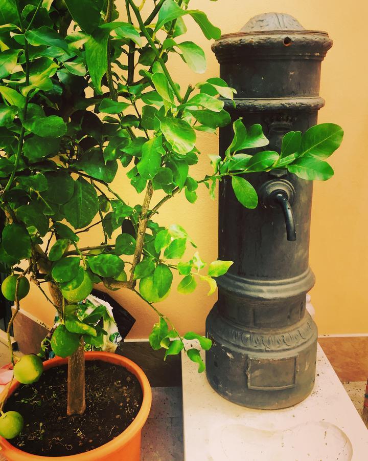 Civico 7 Guest house *
