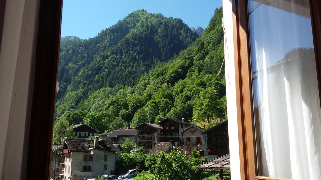 Nonaj *