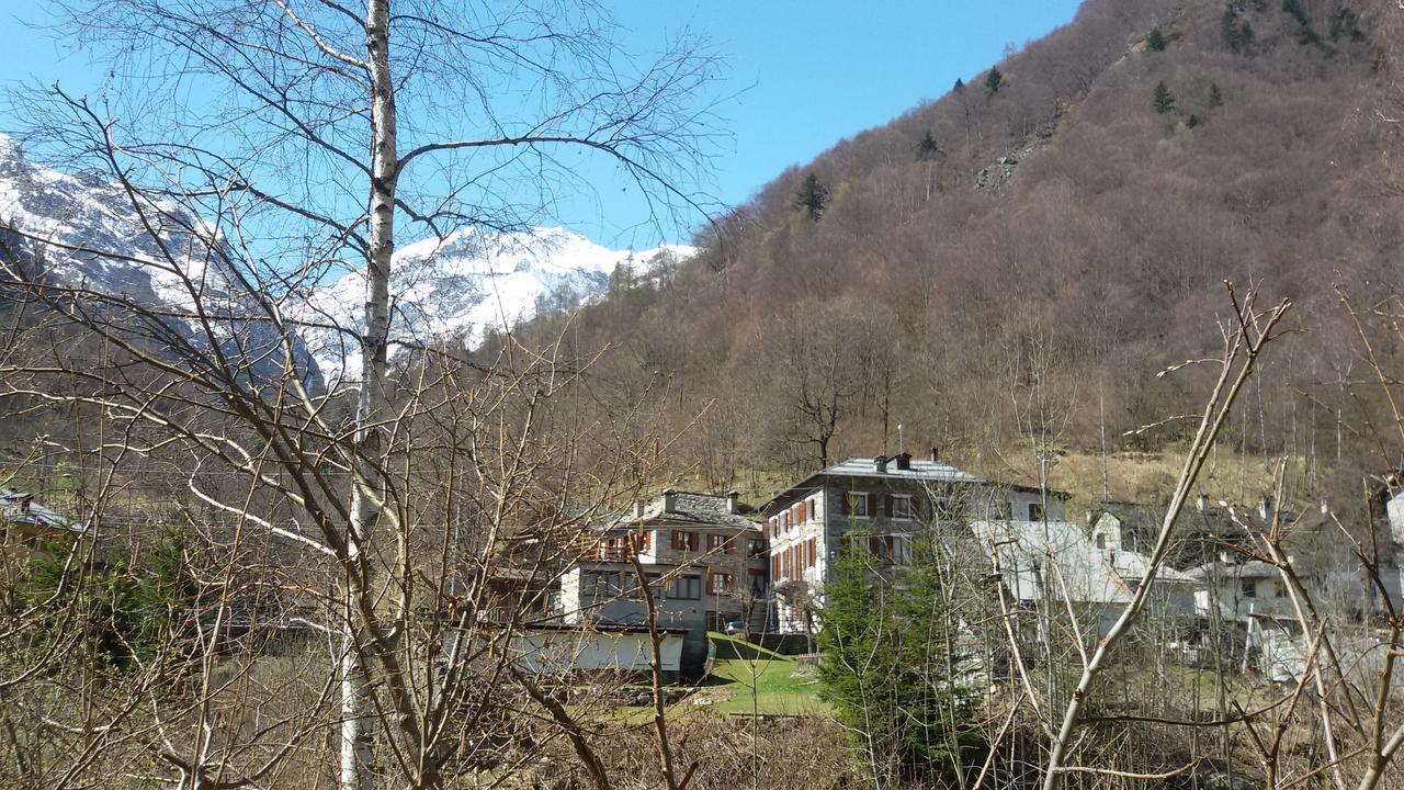 Nonaj *