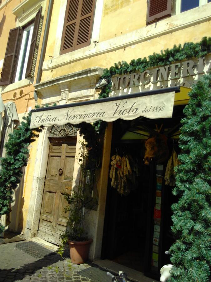 Campo Dei Fiori Funny Flat Appartement