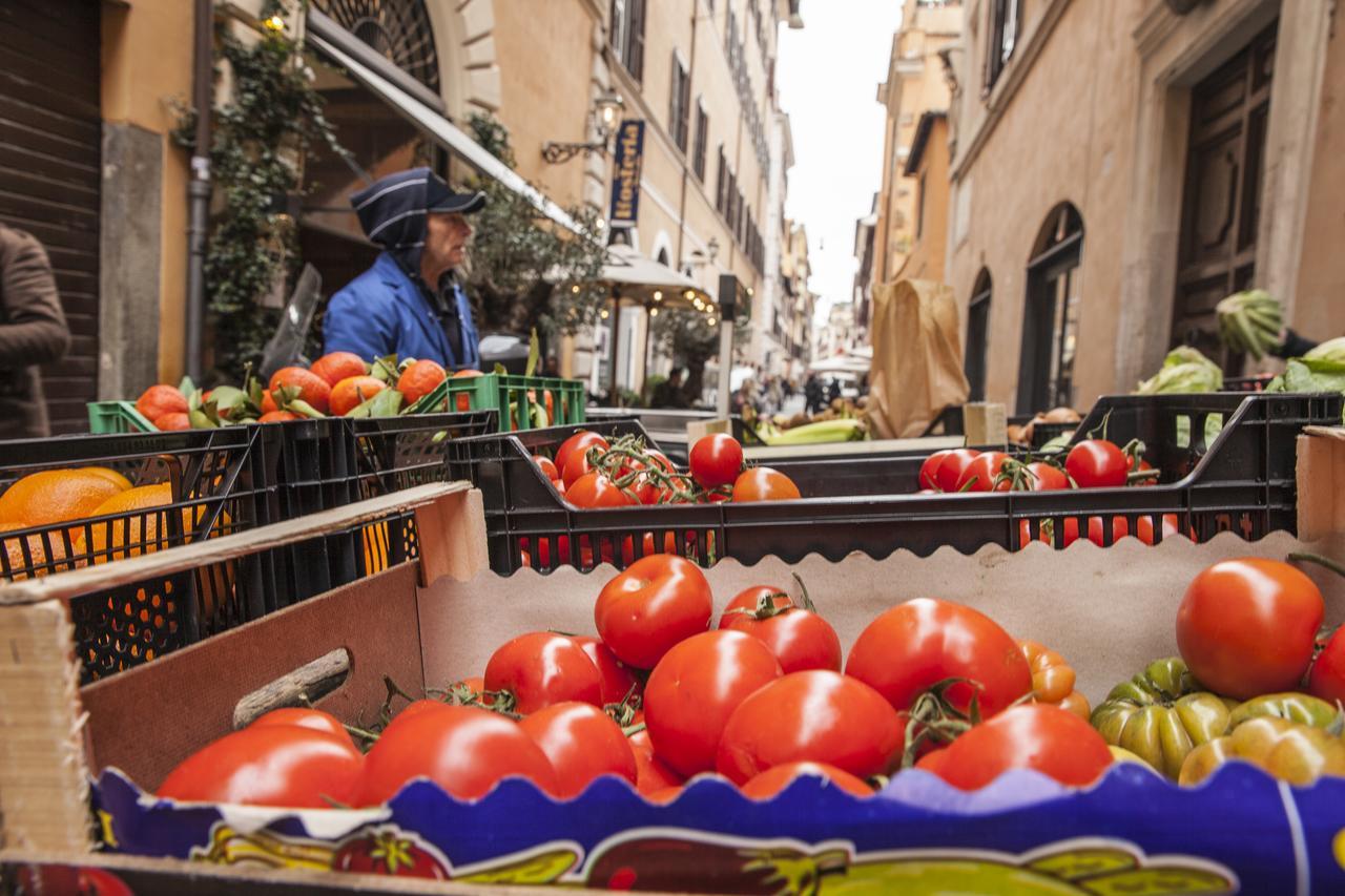 Casa Fabbrini Fancy Bed & Breakfast Rome