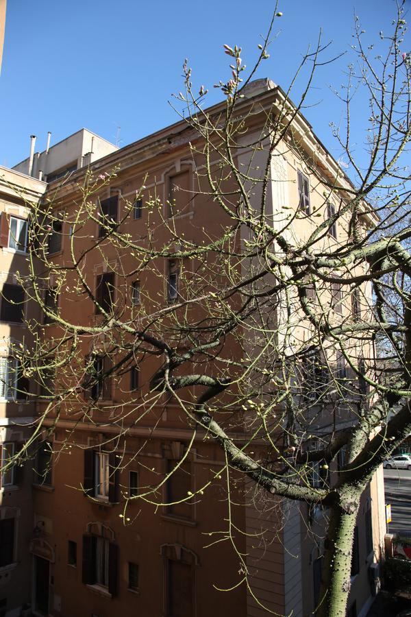 Bed & Breakfast T&v House Rome