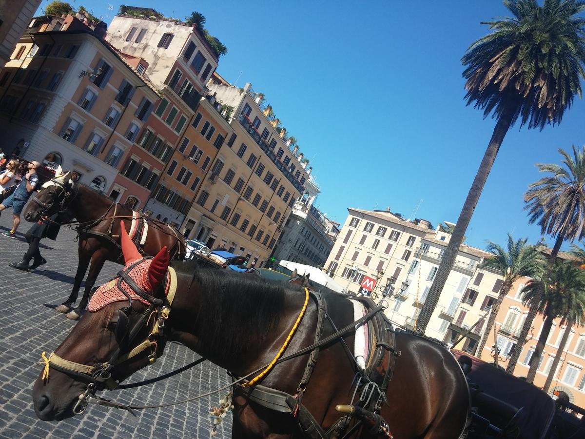 Affittacamere Piazza Di Spagna De Charme Roma