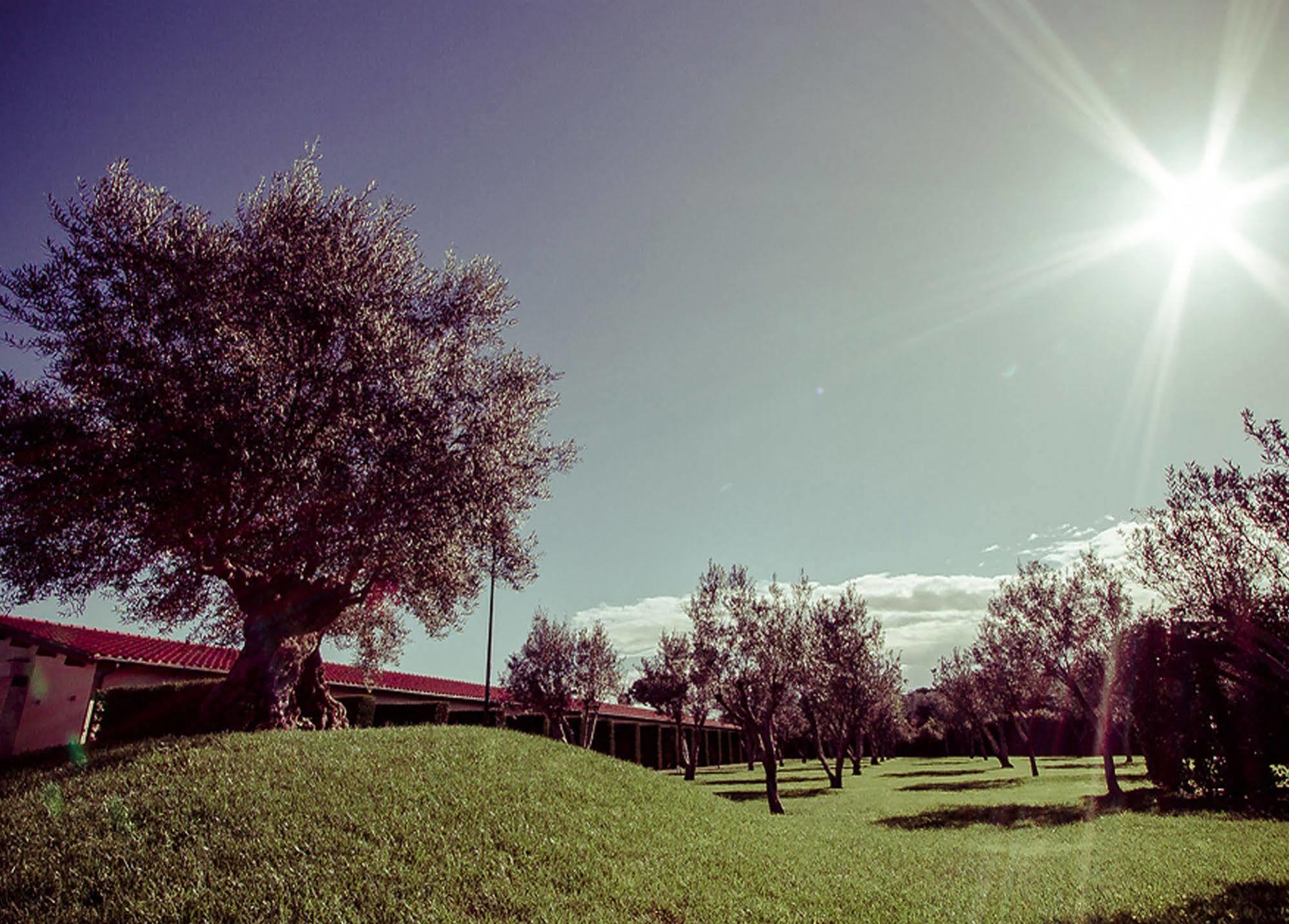 All Ways Garden & Leisure 4*