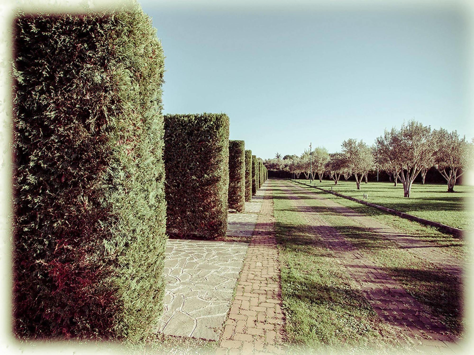 All Ways Garden & Leisure