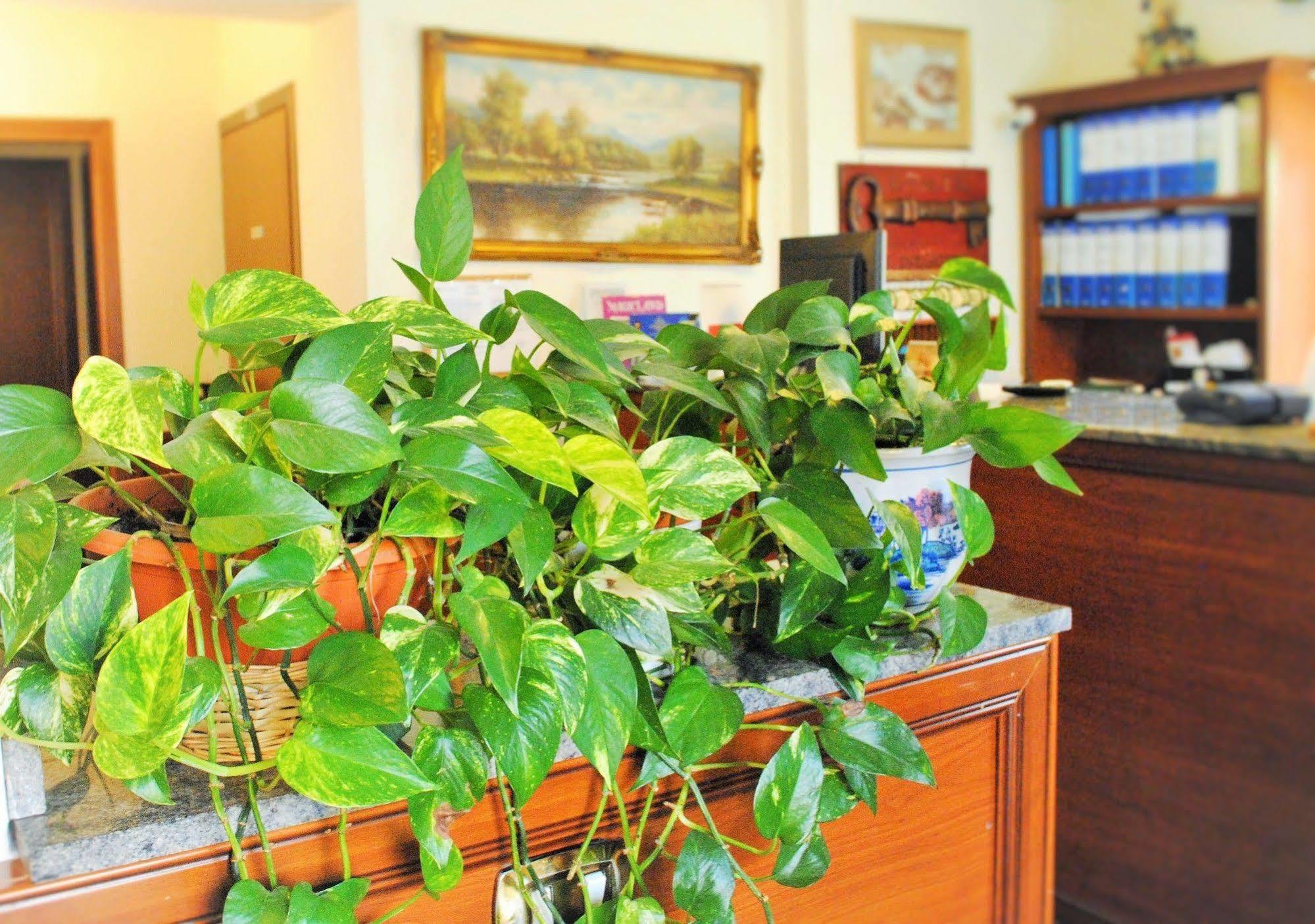 Hotel Octavia Rome