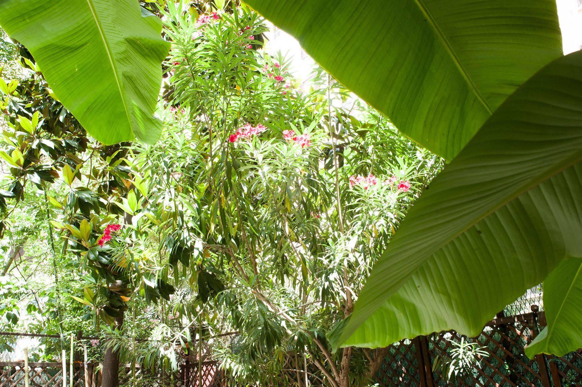 Casa de hóspedes Almes 2*