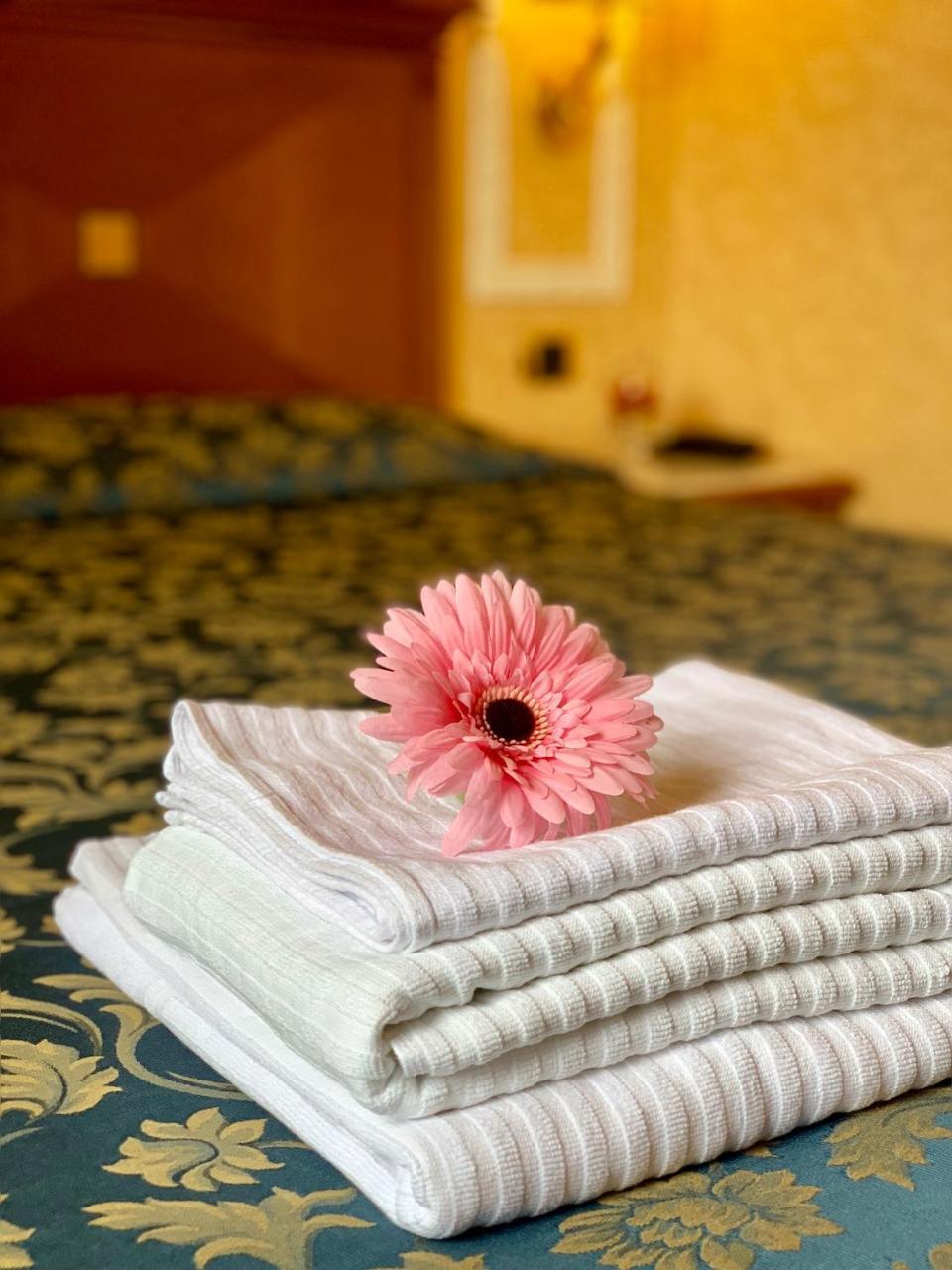 Hotel Vatican Amorim Rome