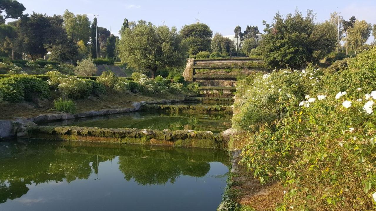 Affittacamere Eur Arcobaleno Guest house Rome