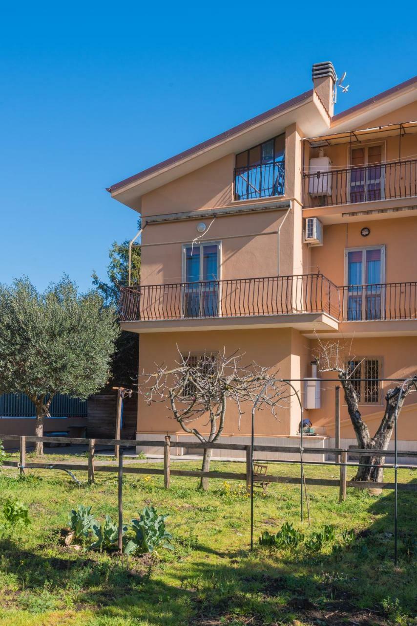 Guest house Travelershome Morena