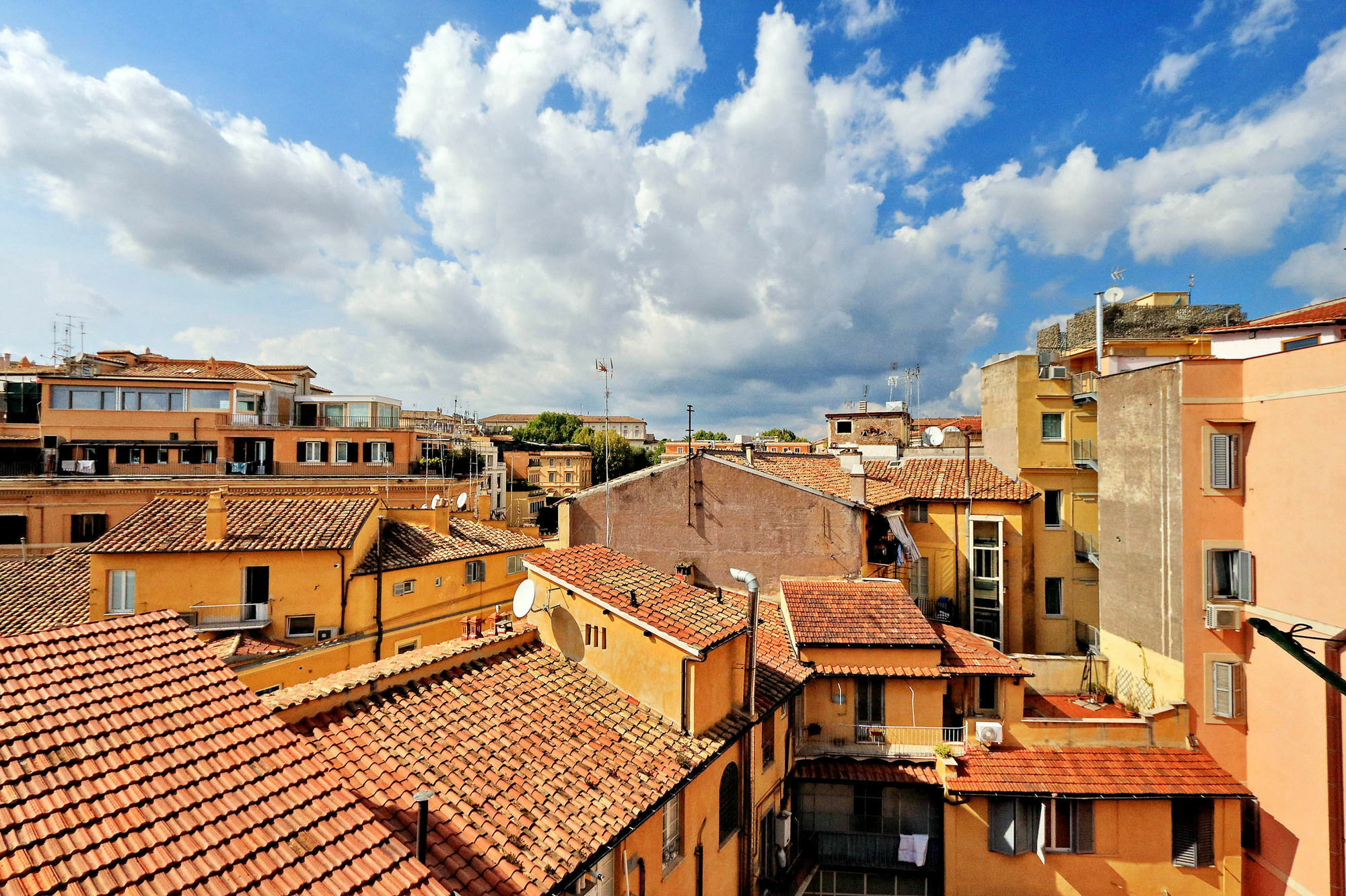 Monti - My Extra Roma