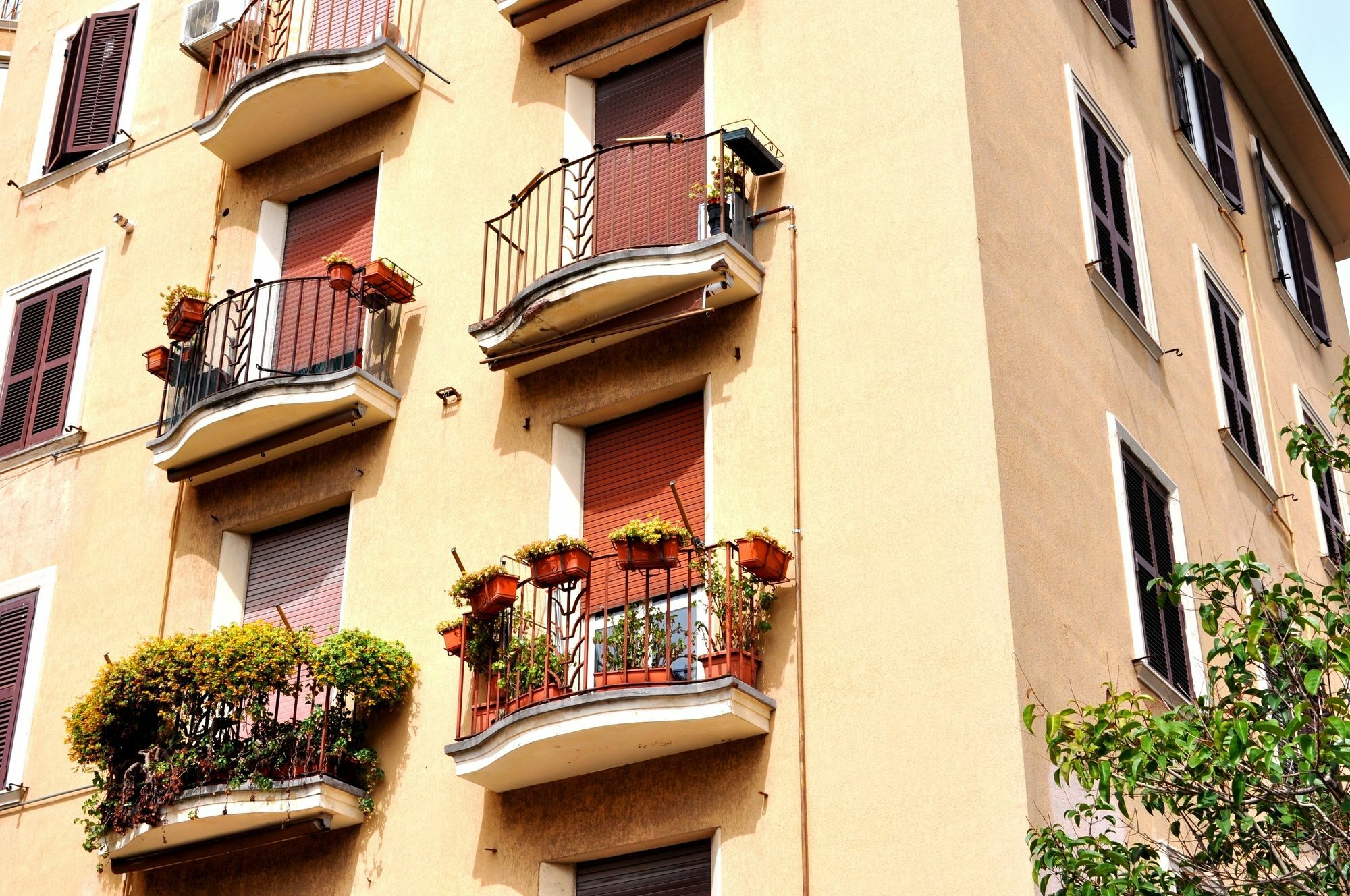 Debby * Rome