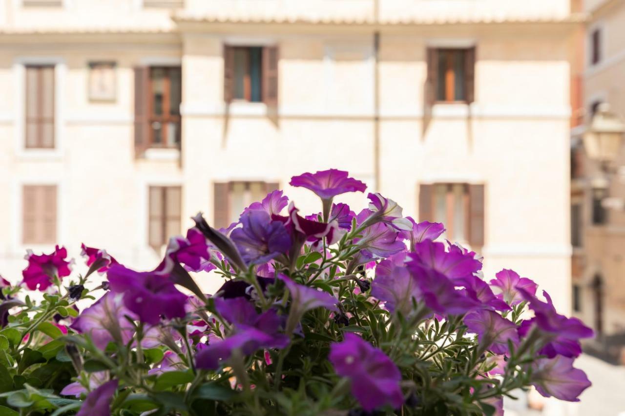 Buongiorno Colosseo Appartamento Roma