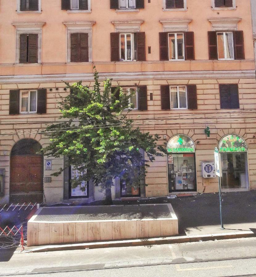 Nova * Roma