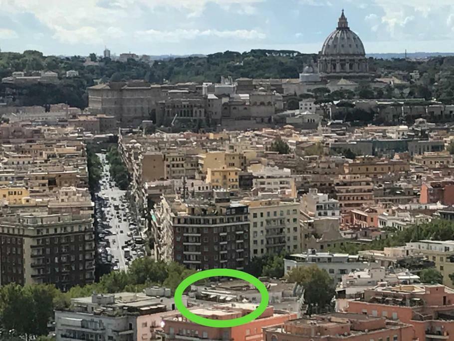 Almond Tree Vatican * Rome