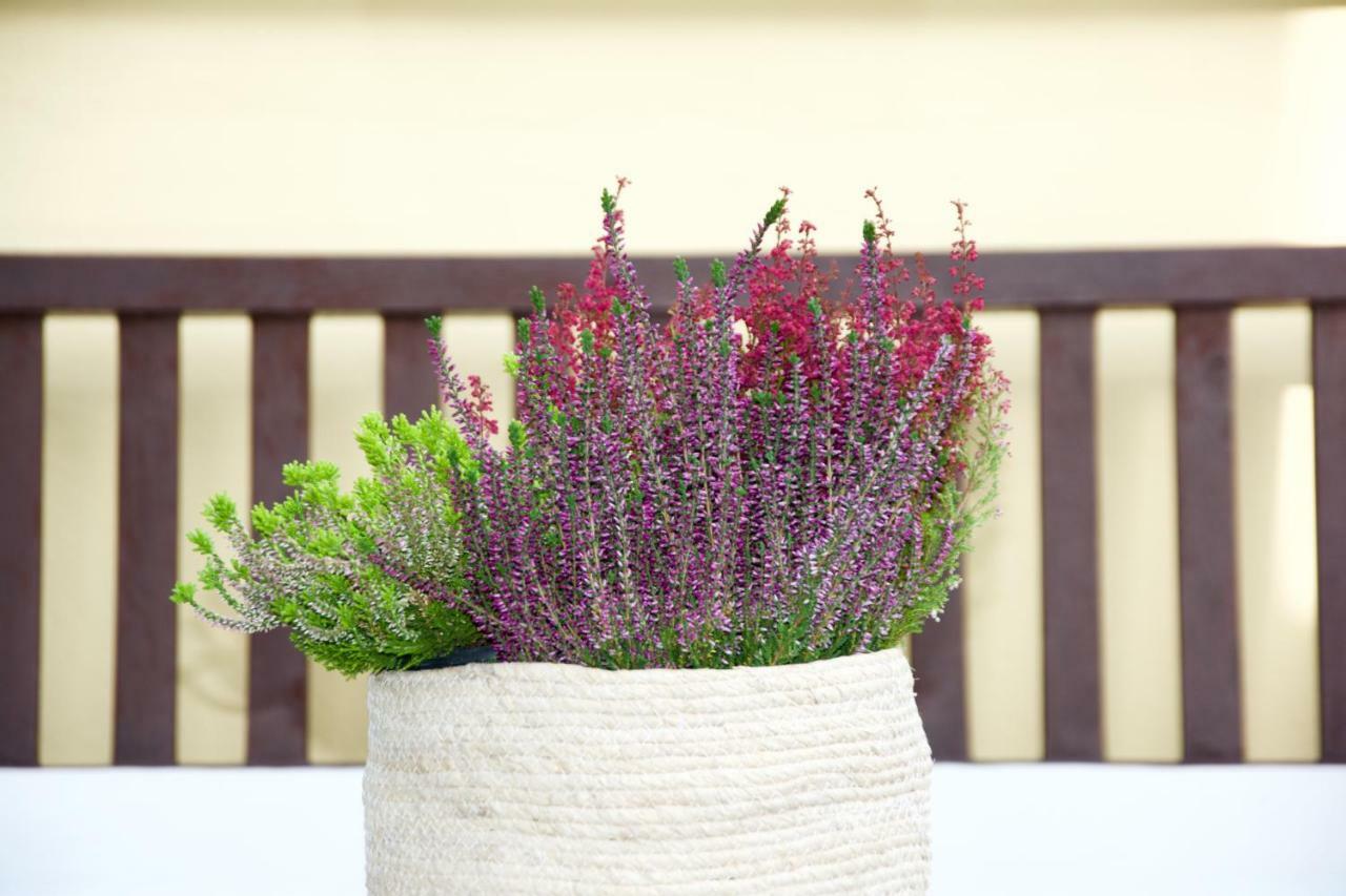 La Terrazza Di Isabel Hébergement de vacances *