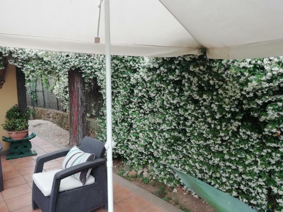 Appia Antica Guest house