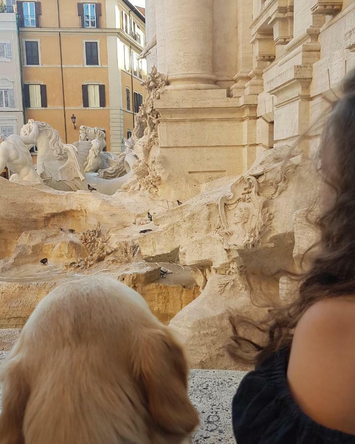 La Finestra Sul Cortile Apartment Rome