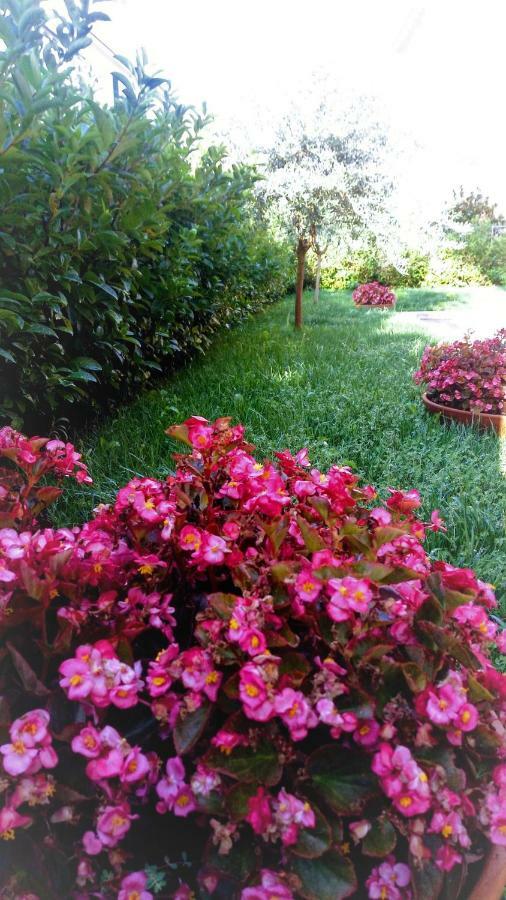 Guest house Madre Chiara Domus