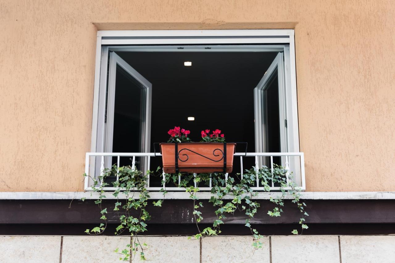 Ziani Vatican Boutique Guest house