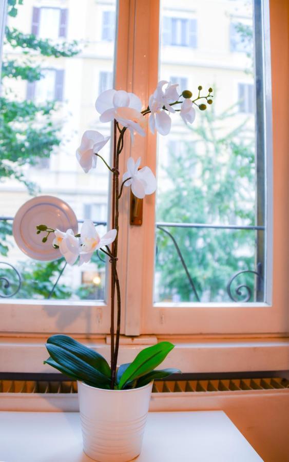 Apartment Saint Peter House Germanico Rome