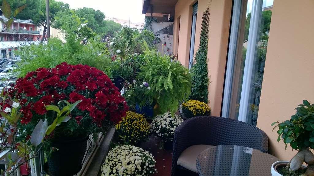 Guest house Gregorio Vii Luxury 2*
